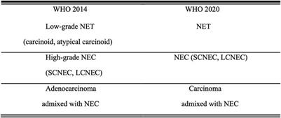 Advances in Research, Diagnosis, and Treatment of Neuroendocrine Cervical Carcinoma: A Review